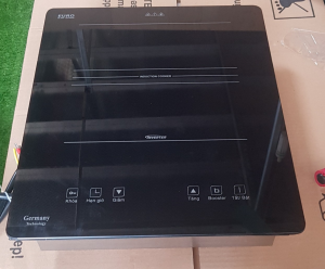 Bếp từ đơn âm FG-512A